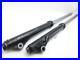 Fork_Tubes_Stand_Pipes_Dive_Tubes_Fork_Legs_Fork_Yamaha_XT_500_1U6_1983_01_jkwo