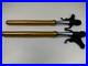 YAMAHA_R1_RN49_2017_2019_USD_Gold_Forks_Fork_Tubes_Straight_Front_Forks_01_cdr