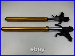 YAMAHA R1 RN49 2017-2019 USD Gold Forks Fork Tubes Straight Front Forks