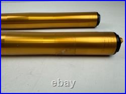YAMAHA R1 RN49 2017-2019 USD Gold Forks Fork Tubes Straight Front Forks