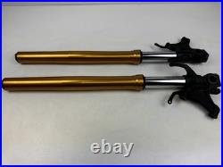 YAMAHA R1 RN49 2017-2019 USD Gold Forks Fork Tubes Straight Front Forks