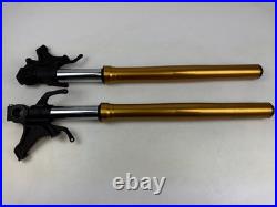 YAMAHA R1 RN49 2017-2019 USD Gold Forks Fork Tubes Straight Front Forks