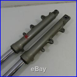 Yamaha FZR 600 Genesis 3he Stand Pipe Immersion Tubes Fork Shock Absorber Front