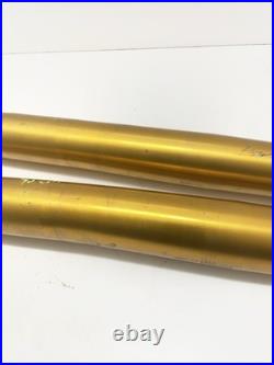 Yamaha Fz8 2010 2015 Damaged Front Forks Suspension Legs