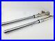 Yamaha_XT_600_43F_1984_Fork_Shock_Absorbers_Fork_Fork_Tubes_Stand_Pipes_01_kdat