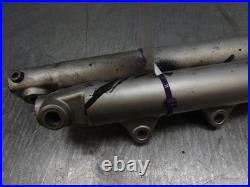 Yamaha XV250 Virago XV 250 Pair Of Suspension Fork Legs / Stanchion Tubes