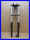 Yamaha_YS_125_2020_3_523_miles_front_fork_tube_stanchions_13688_01_mf