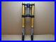 Yamaha_YZF_R125_ABS_2014_15_992_miles_front_forks_fork_tube_stanchions_5136_01_xnks