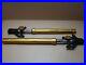 Yamaha_YZF_R125_ABS_2017_9_667_miles_front_fork_tubes_stanchions_pair_3640_01_rq