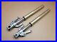 Yamaha_YZF_R1_4XV_5JJ_Front_forks_fork_legs_tubes_stanchions_USD_Fits_98_01_01_ryfx